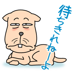 火曜日のわんこ