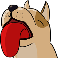 Expression ANIMAL !!