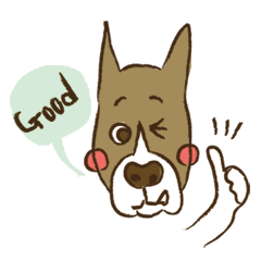 ボクサー犬「ガイ」