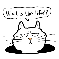 Happy cat English