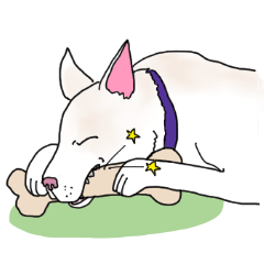 頑張れ、くにお!