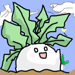 ダイこン