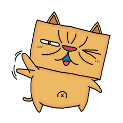 箱猫さん