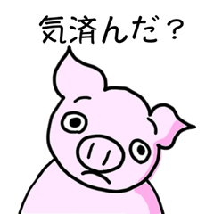 頭に来るね！！ブタぞーくん！