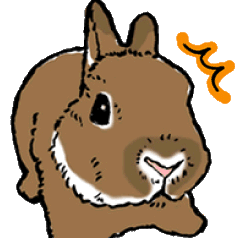 うさぎのしぐさ図鑑（英語版）