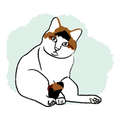 猫だもの。
