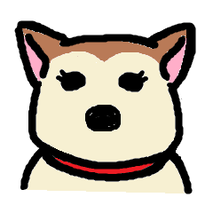 犬のような猫のような柴犬