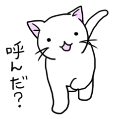 ねこ生活
