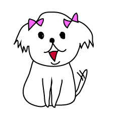 シーズーこはなちゃん!