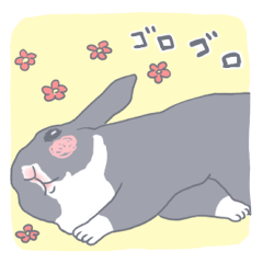 黒ウサギのんちゃん