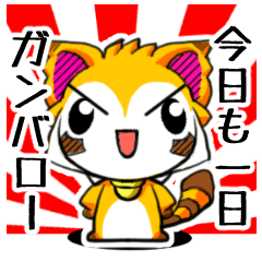 アライグマのヒロくんが行く
