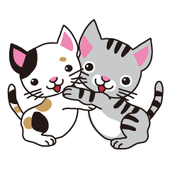 キュート　キャット