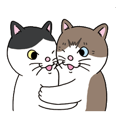 ネコのフワとニャー