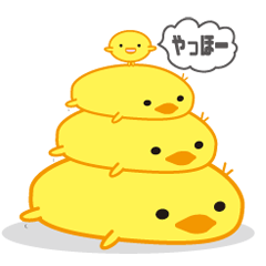ひよこ101%