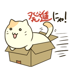 箱入りにゃんこ