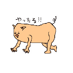 生豚