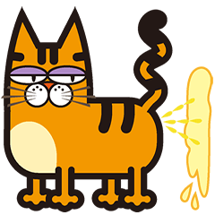 Rebel Cats