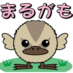 まるがも