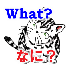 猫で会話 英単語 初級