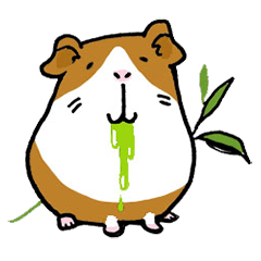 dokumoru kun