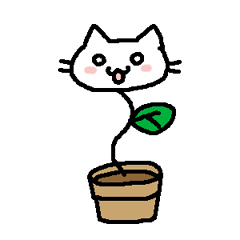 ねこ草
