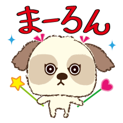 シーズー犬☆まーろんの日常