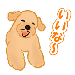 ふくちゃんのお友達...海辺のワンコ