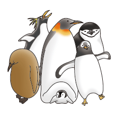 ペンギンづくし。