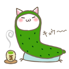 猫キュウ