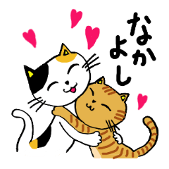 ゆるい猫の日常