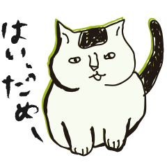 うちの猫 ぷうちゃん
