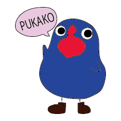 プケコのプカコ