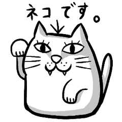 激しい白ねこ