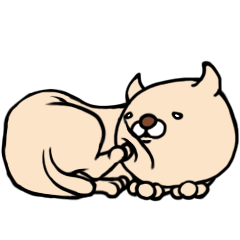 猫のたろきち