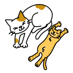 ほっこりネコ’s