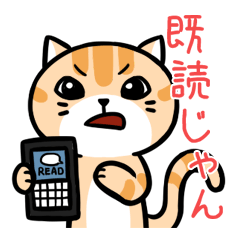 ぐずねこの日常生活