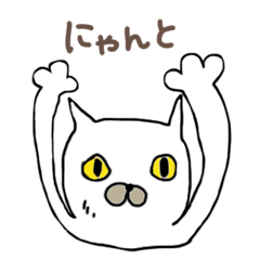 白猫のムフ