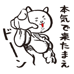 本気すぎるネコ