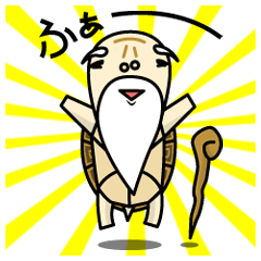 うちのかめさま