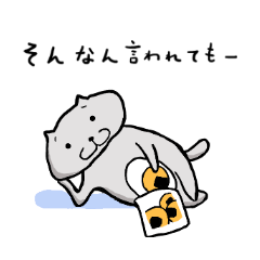 猫といろいろ