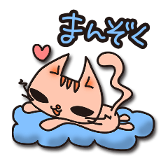 ポジティブで褒め上手なネコさんです