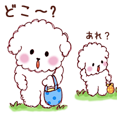 ビションフリーゼ