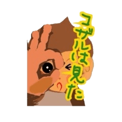 子ザルのミータ