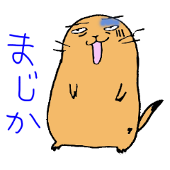 ゴーゴープレーリードッグ