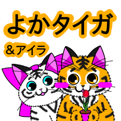 鹿児島弁!新種の虎猫よかタイガ!