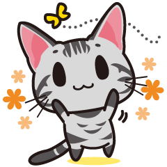 アメショのまろ眉ミト