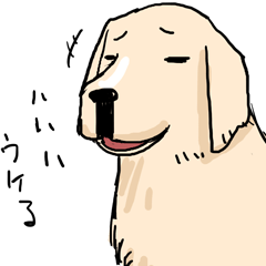 ペットベリー