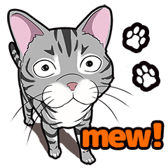 Cat American Shorthair(English ver.)