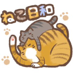 ねこ日和