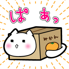 だんぼーるねこ。